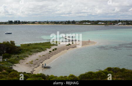 Penguin Island. Îles de Shoalwater marine park. Rockingham. L'ouest de l'Australie Banque D'Images