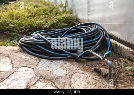 Le flexible en plastique noir pour l'eau froide est utilisée pour arroser les plantes et arbustes dans le jardin. Twisted et posés en anneaux, connecté à un tuyau d'eau dans la ba Banque D'Images