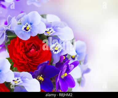 Bouquet de violettes, pensées et ranunculus Banque D'Images