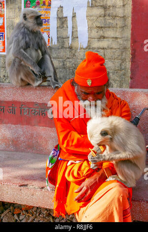 Plus yogi avec monkey assis au banc à Rishikesh, Inde Banque D'Images