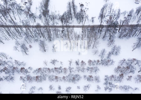 Sentier de marche en hiver Parc. drone aérien de la photographie des arbres gelés Banque D'Images