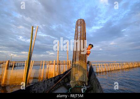 Vietnam, province de Thua Thien Hue, Tam Giang, pêcheur dans le lagon Banque D'Images