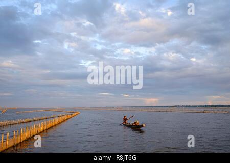 Vietnam, province de Thua Thien Hue, Tam Giang, pêcheur dans le lagon Banque D'Images