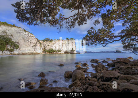 Cathedral Cove, Hahei, péninsule de Coromandel, île du Nord, Nouvelle-Zélande Banque D'Images