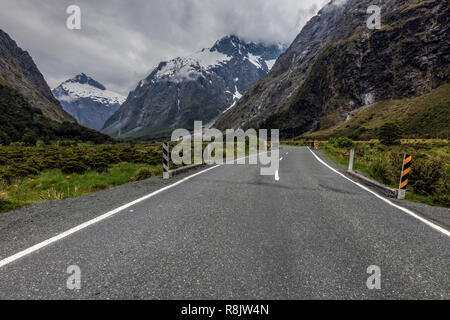 Monkey Creek, Milford Sound, île du Sud, Fiordland, Nouvelle-Zélande Banque D'Images