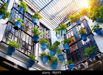 Façade de maison décorée de fleurs en pots bleus en Espagne Banque D'Images