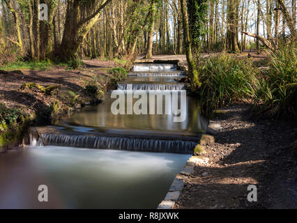 L'eau qui tombe à Tehidy Cornwall park pays UK Banque D'Images