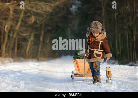 Garçon avec un arbre de Noël dans la forêt. Portrait d'hiver dans un garçon à l'extérieur dans un manteau en peau de mouton marron et chapeau de fourrure, dans un paysage enneigé. Beau, froid Banque D'Images