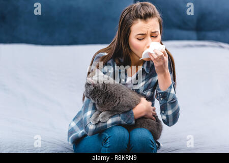 Fille avec des mouchoirs et des allergies holding British shorthair chat à la maison Banque D'Images