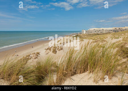 La France, Pas de Calais, Cote d'Opale, Merlimont, dunes Banque D'Images