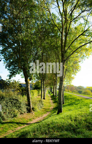 Montreuil-Mer dans le Pas-de-Calais dans le Nord de la France Banque D'Images