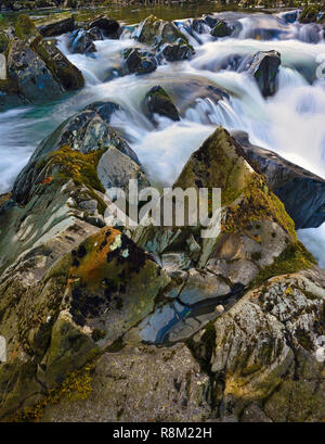 Une section de la rivière Llugwy, Betws y Coed, dans le Parc National de Snowdonia, Pays de Galles, Royaume-Uni Banque D'Images