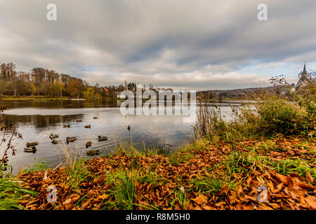 Belle vue sur le lac de Doyards à Vielsalm avec canards sur une magnifique journée d'automne nuageux et dans les Ardennes Belges Banque D'Images