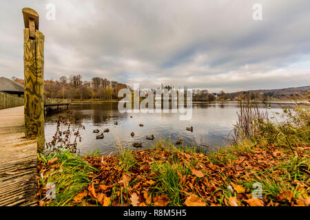 Vue magnifique sur le lac de Doyards à Vielsalm avec canards sur une belle journée d'automne nuageux et dans les Ardennes Belges Banque D'Images