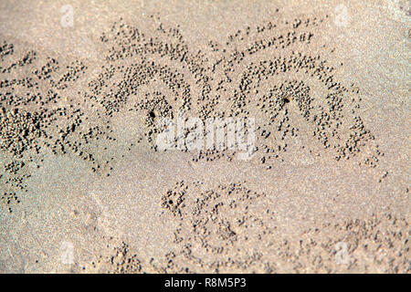 Les crabes, et les modèles de leurs trous, sur une plage de la plage de Kuta, Bali Indonésie. Banque D'Images