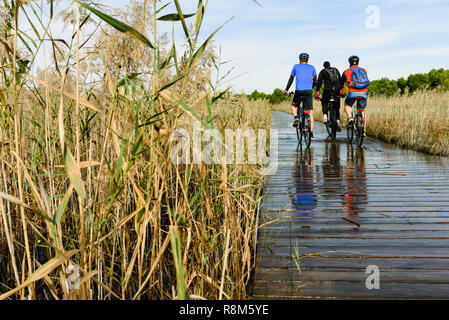 Traversée cycliste une passerelle au-dessus d'un lac dans la région de Valence, en Espagne, à l'intérieur d'un parc naturel. Banque D'Images