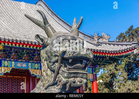 Dragon gardien Summer Palace Beijing Chine Banque D'Images