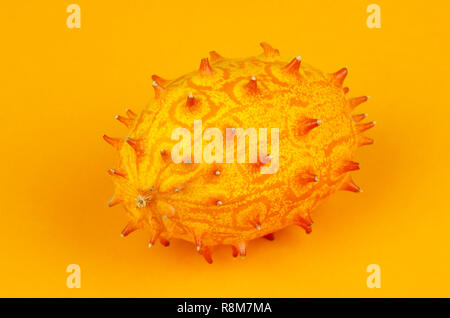Kiwano, fruits entiers sur fond orange. Melon à cornes, concombre, cornes de l'Afrique également jelly melon, couverture, gourd ou melano. Des fruits mûrs. Banque D'Images