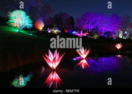 2018 bougies, alpages et Rock Garden. Jardin RHS Wisley, Woking, Surrey, Angleterre, Royaume-Uni, Europe. Banque D'Images