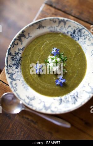 La France, Finistère, Audierne, L'Auberge restaurant, soupe d'ortie Banque D'Images