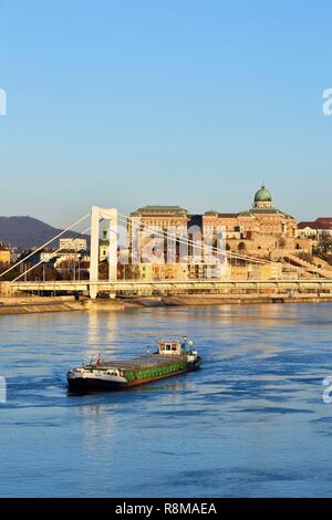 Hongrie, Budapest, la lutte antiparasitaire, quartier classé au Patrimoine Mondial de l'UNESCO, Danube banques, pont Elisabeth et la colline de Buda (ou la colline du château) avec le Palais Royal Banque D'Images