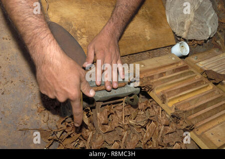 Closeup of hands décisions cigare de feuilles de tabac. Fabrication artisanale de cigares à Cuba Banque D'Images