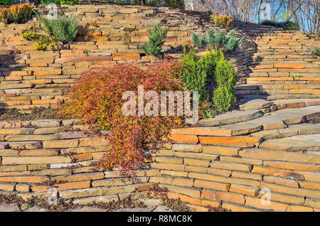 Les conifères nains colorés, de buissons et de fleurs en automne parmi les pierres de rocaille jardin. Belle conception de paysage sur pente de colline à sunny day Banque D'Images