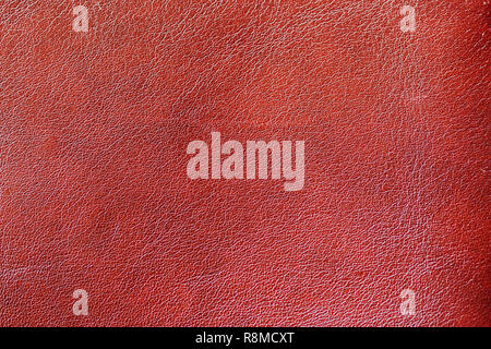 La texture de cuir véritable, repéré, peint, avec ride, crease, brun-rouge, couleur de la surface de fond, copy space Banque D'Images
