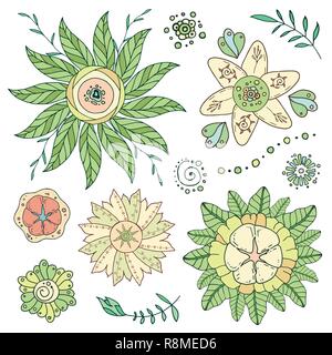 Ensemble de vecteur dessiné à la main de fleurs et de branches avec des feuilles, fleurs, fruits. Doodle style. Isolé sur fond blanc. Les éléments de décoration pour votre Illustration de Vecteur