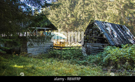 Vieil maisons dans la forêt Banque D'Images