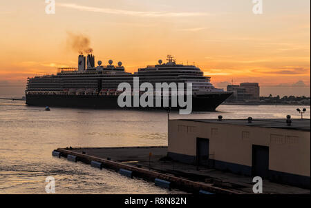 Nouveau Amsterdam Holland America Cruise Ship Port Everglades près de Fort Lauderdale en Floride Banque D'Images