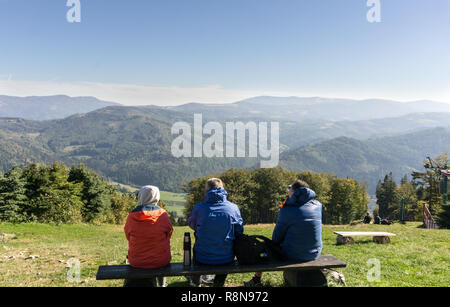 Trois jeunes gens se reposant sur un banc dans les montagnes sur une journée ensoleillée - Vue arrière - magnifique paysage de montagne Banque D'Images