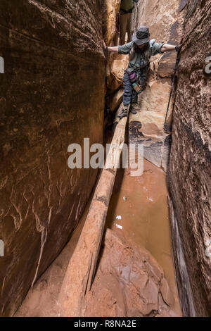 Karen Rentz squeezing à travers le sentier le long de la commune Chesler Park Sentier en boucle dans les aiguilles District de Canyonlands National Park, Utah, octobre, U Banque D'Images