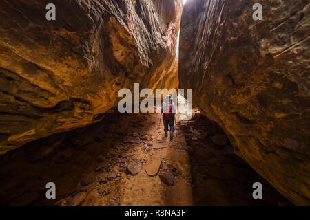 Karen Rentz squeezing à travers le sentier le long de la commune Chesler Park Sentier en boucle dans les aiguilles District de Canyonlands National Park, Utah, octobre, U Banque D'Images