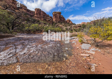 Canyon de l'éléphant le stream remplis d'eau après une pluie d'automne, le long du sentier en boucle Parc Chesler dans les aiguilles District de Canyonlands Nationa Banque D'Images