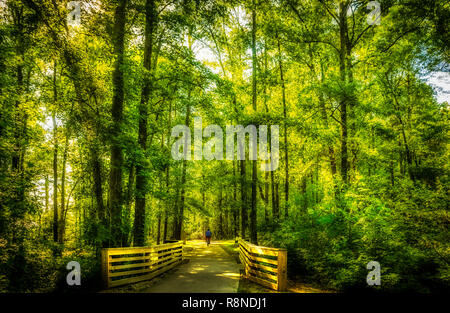 Un cycliste rides descendu un sentier à Réserve Naturelle Davidson-Arabia Mountain Préserver, le 21 mai 2014, à Lithonia, Géorgie. Banque D'Images
