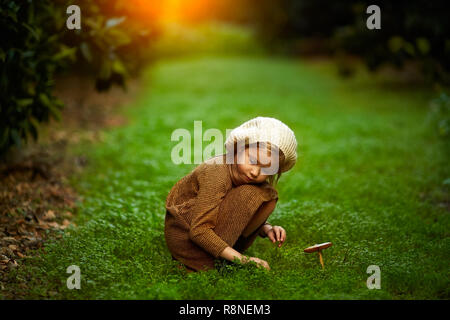 Adorable petite fille marche en forêt sur journée d'été Banque D'Images