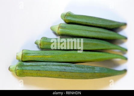 La nourriture, légume, Bhindi Mesdames doigts sur fond blanc le gombo (Abelmoschus esculentus Hibiscus Esculentus) également Banque D'Images