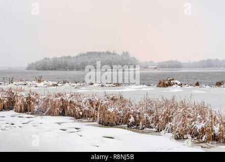 Timide à proximité de la rivière Dniepr pendant un jour d'hiver froid et neigeux. Le ciel est couvert par les nuages et les flocons de neige tomber doucement sur les arbres et sur t Banque D'Images