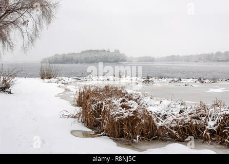 Timide à proximité de la rivière Dniepr pendant un jour d'hiver froid et neigeux. Le ciel est couvert par les nuages et les flocons de neige tomber doucement sur les arbres et sur t Banque D'Images