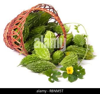 Le melon amer ou Momordica dans un panier en osier isolé sur fond blanc Banque D'Images