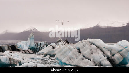 Gros icebergs détachés de la langue d'un glacier d'atteindre la côte, en Islande, paradis des aventuriers. Banque D'Images