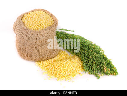 Millet dans un sac avec des épillets vert isolé sur fond blanc Banque D'Images