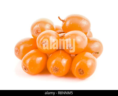 L'argousier. Petits fruits mûrs frais isolé sur fond blanc macro Banque D'Images