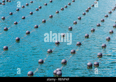 Rangs de perles dans l'océan, la production et la culture de perles dans l'océan. paysage et Pearl Aqua culture agricole au Japon. Shima Banque D'Images