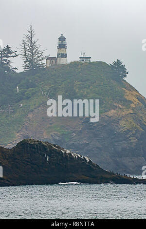 Shot vertical donnant sur le phare de l'océan pacifique gris on foggy day Banque D'Images