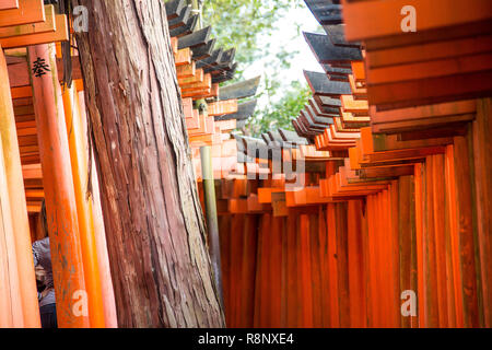 Vue inhabituelle du Sanctuaire Fushimi Inari torrii gates à Kyoto. Banque D'Images