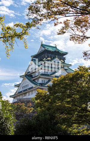 Une vignette d'arbres au moyen d'une vue magnifique du château d'Osaka au Japon Banque D'Images