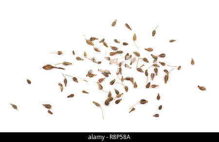 Graines séchées isolé sur fond blanc. Vue d'en haut Banque D'Images