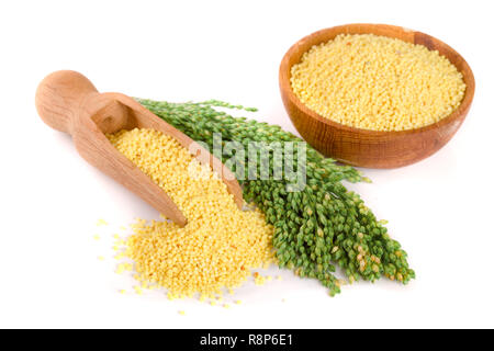 Millet dans scoop en bois et bol d'épillets vert isolé sur fond blanc Banque D'Images
